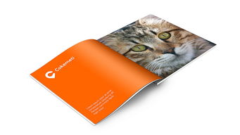 酷客美地企業形象設計 塑造品牌靈魂，引領市場潮流